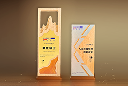 纽约国际588888国际一举斩获“2024年度中国区最佳雇主”等多项大奖