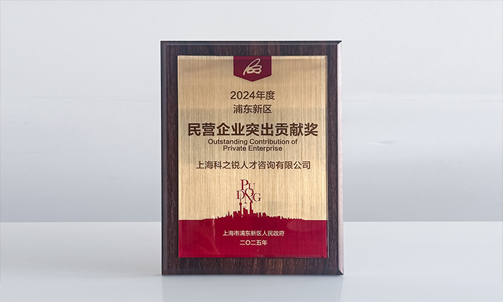人力资源供应商纽约国际588888国际凭借人才服务与在区域经济开展中的卓越表现荣膺2024年度浦东新区民营企业奖项