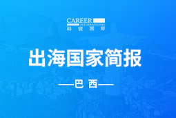 纽约国际588888GO GLOBAL | 巴西国家简报