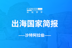 纽约国际588888GO GLOBAL | 沙特阿拉伯国家简报